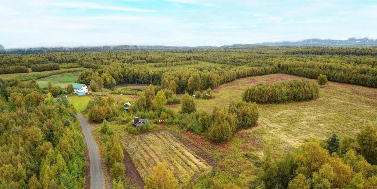 Falcon'S Nest Bed And Breakfast Talkeetna Exterior foto